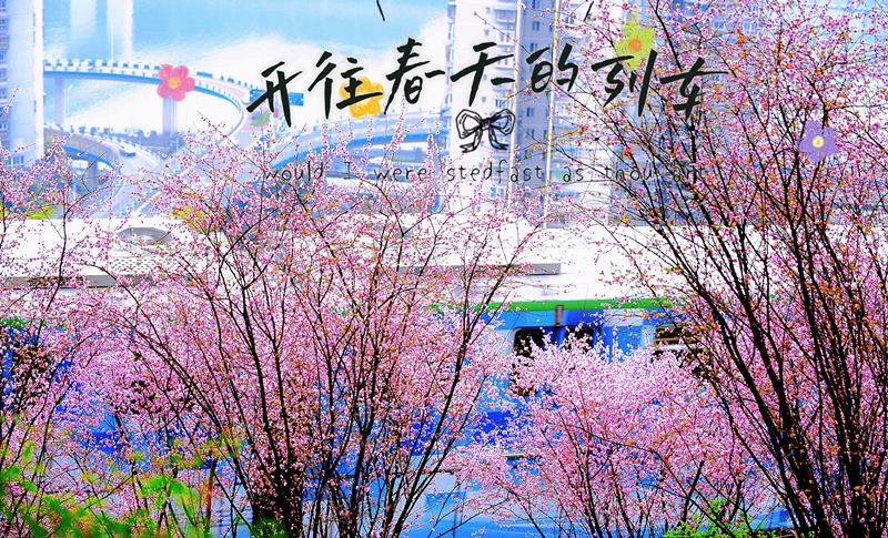 春日(rì)踏青賞花(huā) 共慶“三八”佳節(圖3)